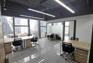 黄浦区节假日撸猫找哪家