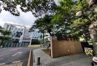 力洋1971呛皮烧参考价