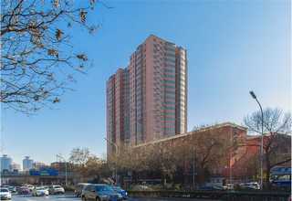 虹口区韩版Polo衫哪家便宜