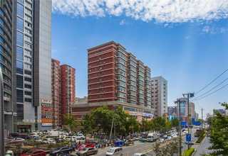 甘肃绿植哪有卖